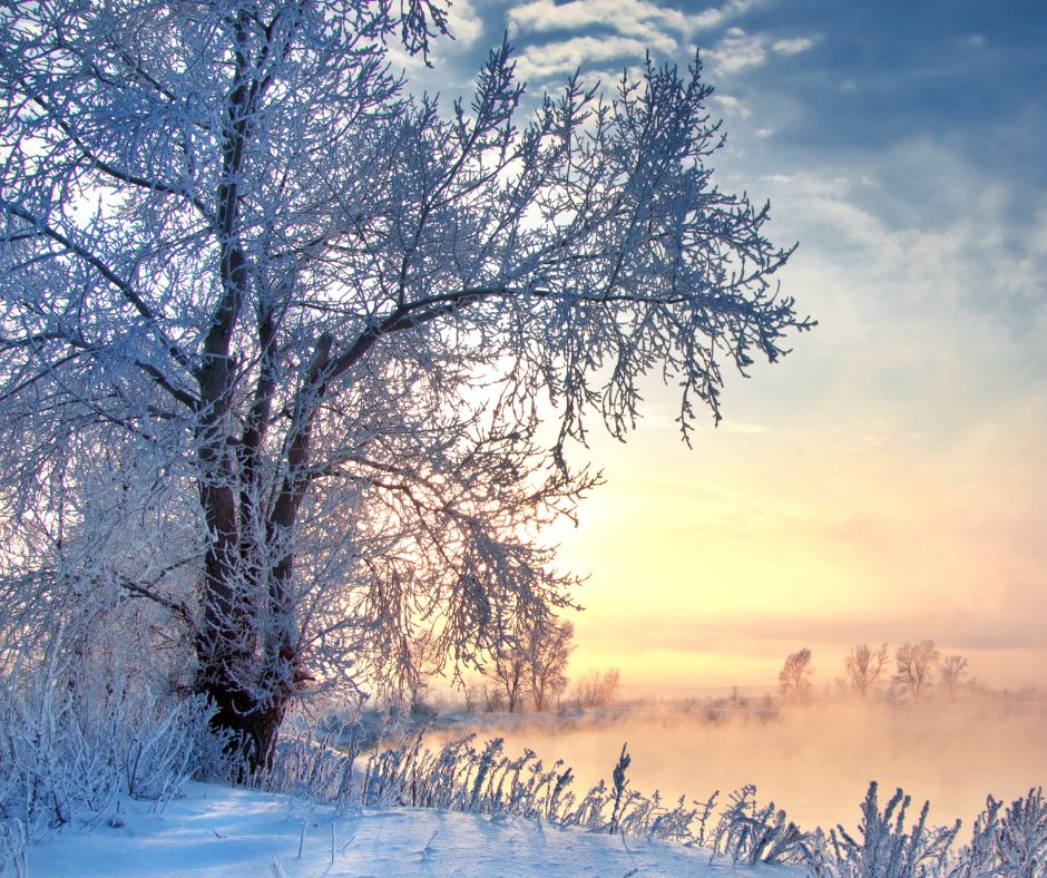 Exploring Winter Wonderland in Australia